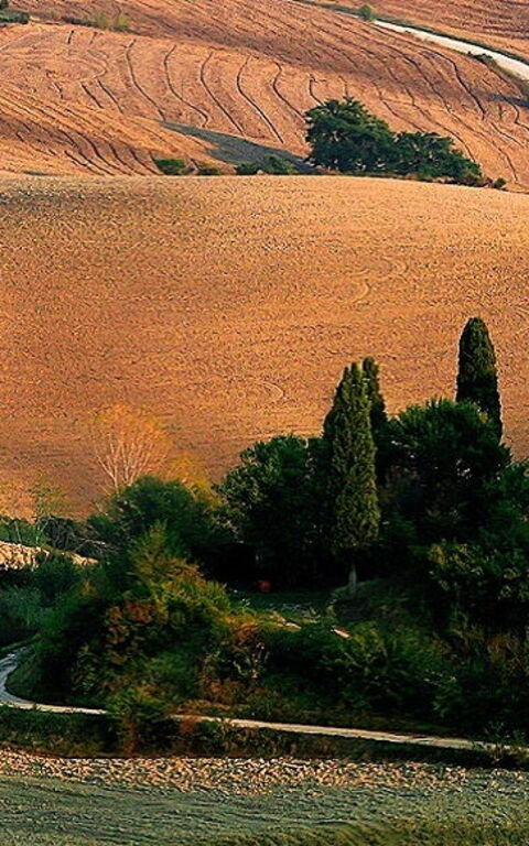 Cosa fare in autunno in Toscana