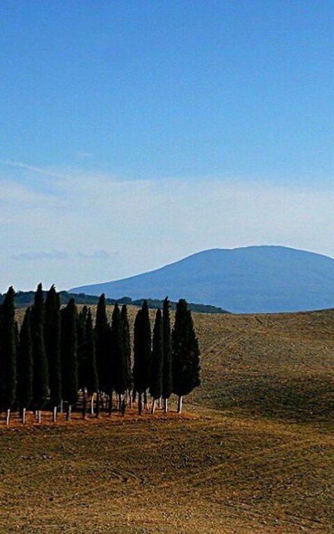 Cosa fare e vedere a San Quirico d'Orcia