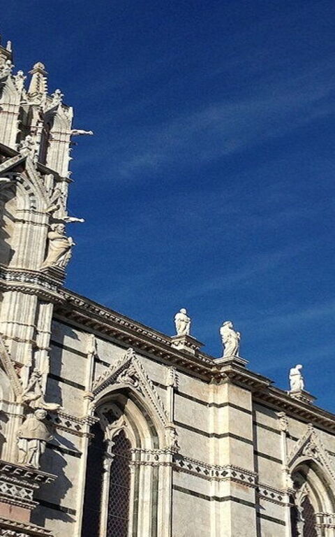 Il Pavimento della Cattedrale di Siena