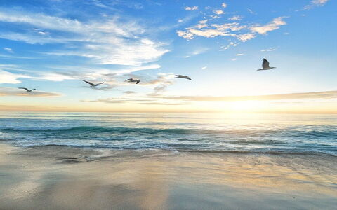 Le 10 Migliori Spiagge della Maremma da Vedere questa Estate