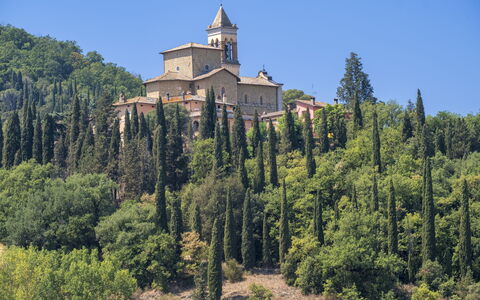 Scopri Solomeo: Storia e Modernità in un Borgo Medievale