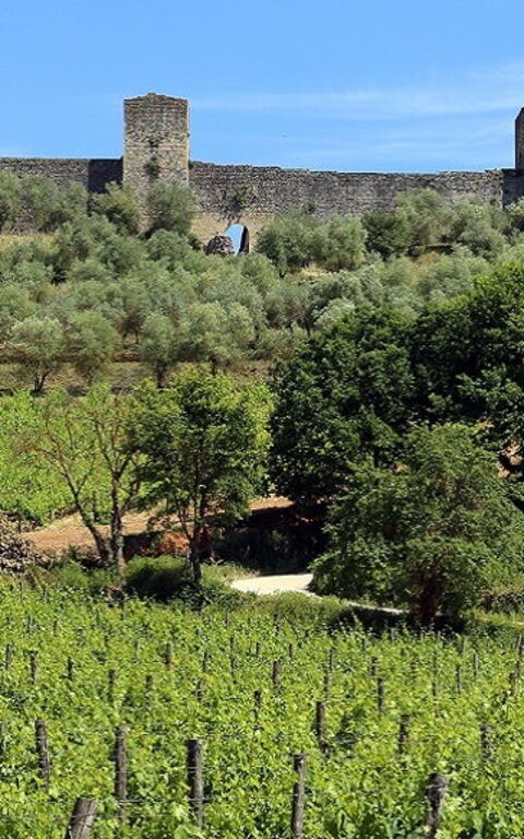 Il Borgo di Monteriggioni (SI)