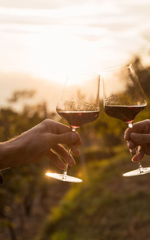 Gita a Bolgheri la patria dei super tuscan