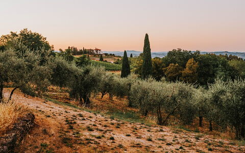 La "Vacanza dalla Vacanza": L'Arte del Rallentare in una Villa Esclusiva per il Tuo Settembre