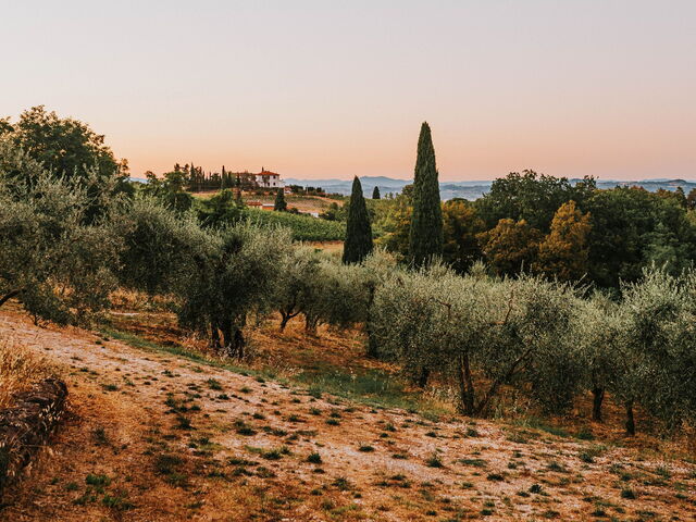 La "Vacanza dalla Vacanza": L'Arte del Rallentare in una Villa Esclusiva per il Tuo Settembre