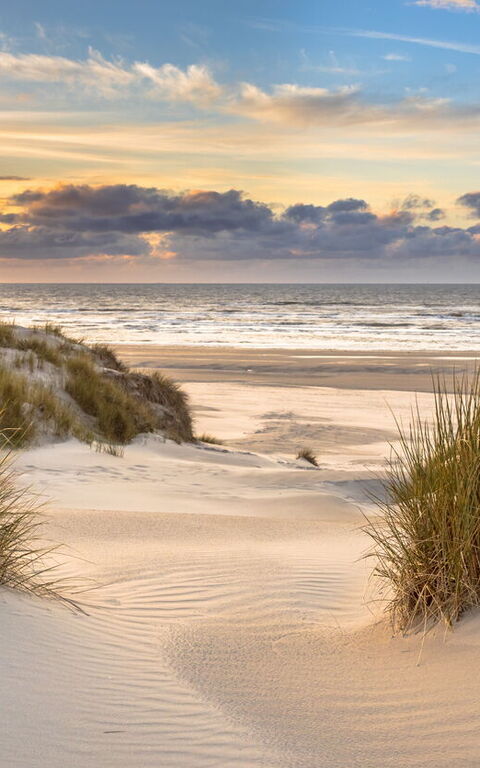 Ville Sostenibili di Lusso: La Tua Guida per un Viaggio Responsabile in Italia e Grecia