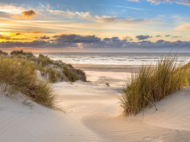 Perché Scegliere Ville Sostenibili?