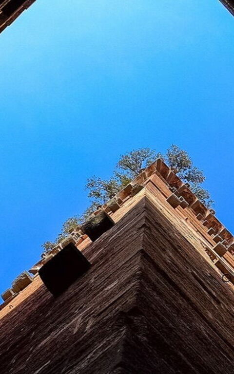 Visitare le Torri di Lucca