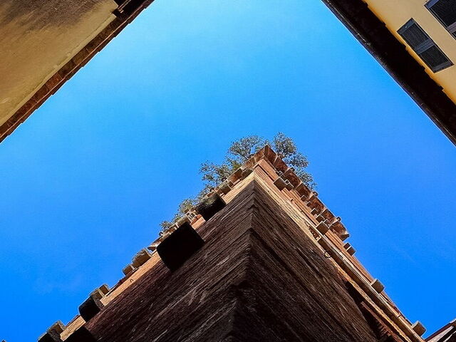 Tour delle Torri di Lucca, tra Torre Guinigi e la Torre delle Ore