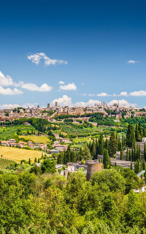 I sapori tipici ed i piatti da assaggiare assolutamente