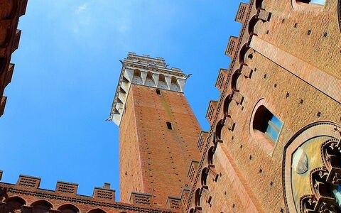 7 Cose da Vedere durante un Bellissimo Tour di Siena