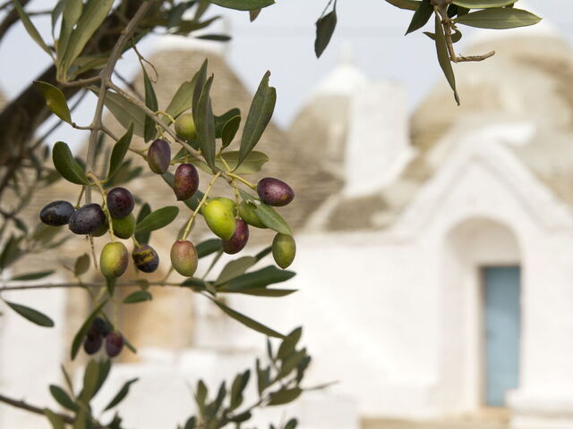 I 10 piatti tipici pugliesi da non perdere