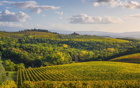 Semifonte e la miniatura della cupola del Brunelleschi