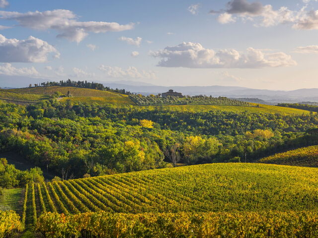 Semifonte e la miniatura della cupola del Brunelleschi