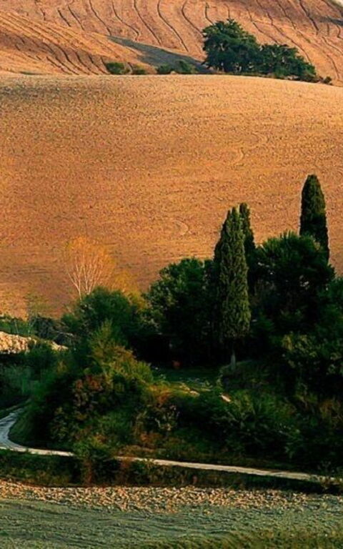 Il teatro del Silenzio