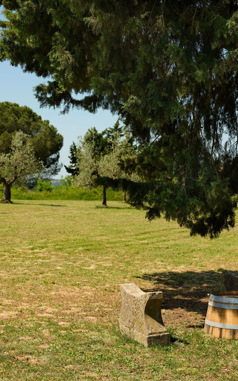 Pozzo Dei Desideri: all'aperto, Esterni, Giardino