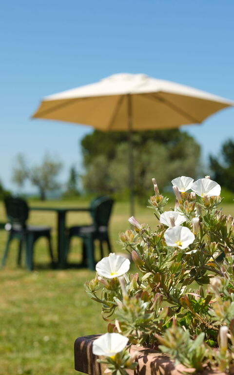 Pozzo Dei Desideri: all'aperto, Esterni, Giardino