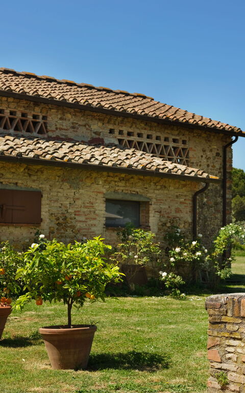 Pozzo Dei Desideri: all'aperto, Esterni, Giardino