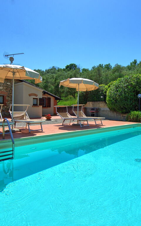 Cuccardino: all'aperto, Piscina