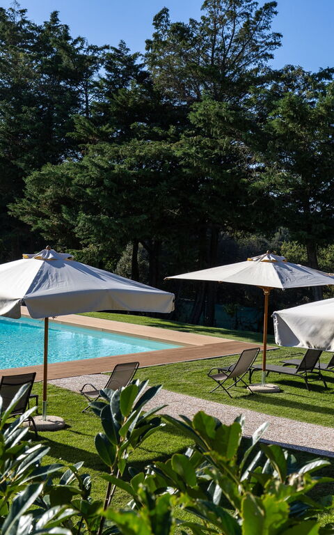 Villa Simone: all'aperto, Giardino, Piscina