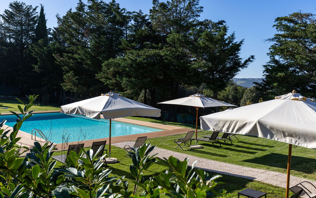 Villa Simone: all'aperto, Giardino, Piscina
