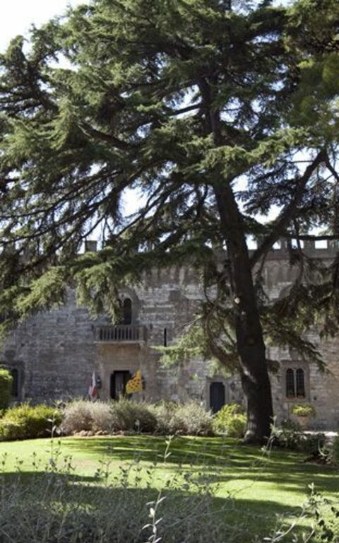 Castello Leopoldo: Esterni, Giardino