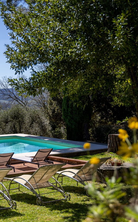 Villa Orchidea: all'aperto, Piscina