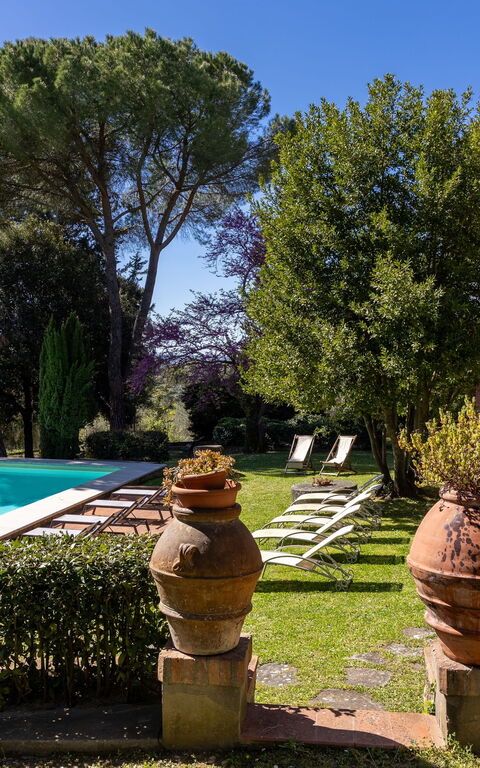 Villa Orchidea: all'aperto, Piscina