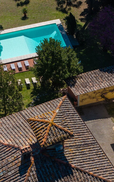 Villa Orchidea: all'aperto, Piscina