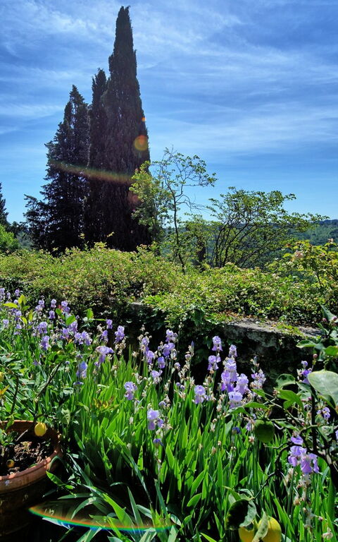 Montegufoni: Giardino, Vista Panoramica