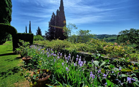 Alloggio Bastione: Giardino