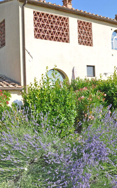 I Glicini: all'aperto, Esterni