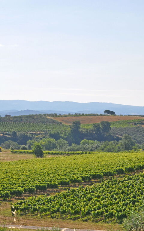 I Glicini: Vista Panoramica