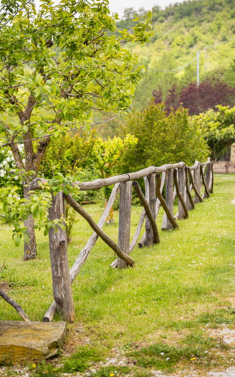 Casa Ivan: all'aperto, Esterni, Giardino