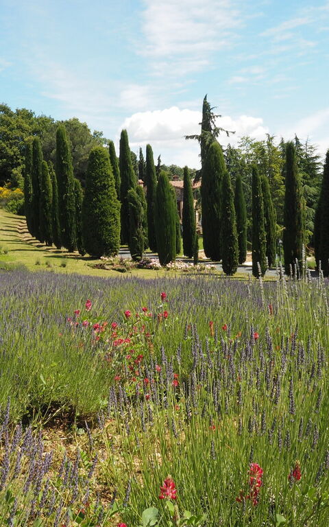 Cornocchio: Vista Panoramica
