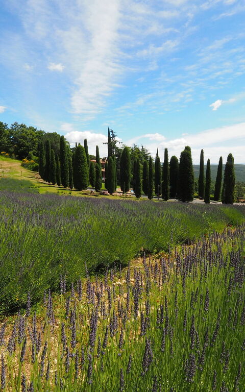 Cornocchio: Vista Panoramica