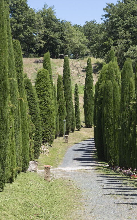 Cornocchio: Vista Panoramica