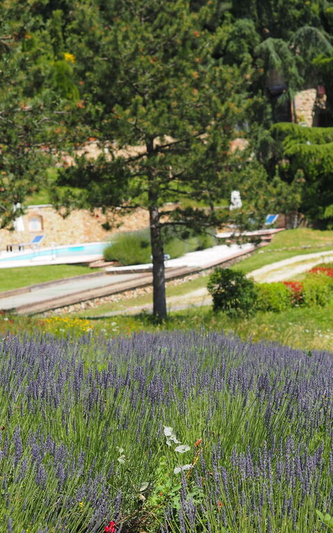 Cornocchio: Vista Panoramica