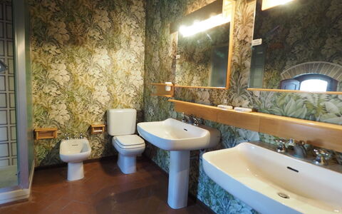 Alloggio Cornocchio 1: Bagno