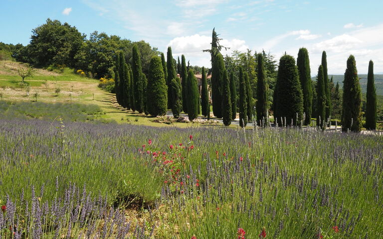 Cornocchio: Vista Panoramica