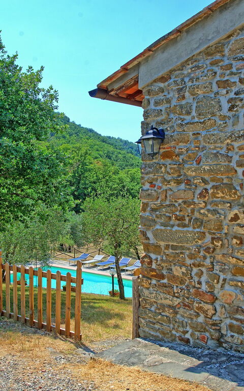 Poggio Conca: Giardino