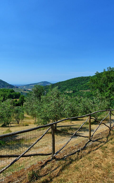 Poggio Conca: Giardino