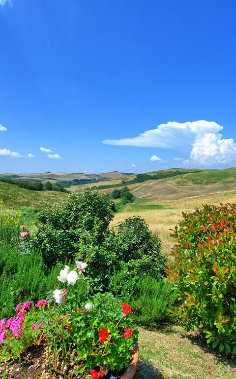 Castelmuzio: Vista Panoramica