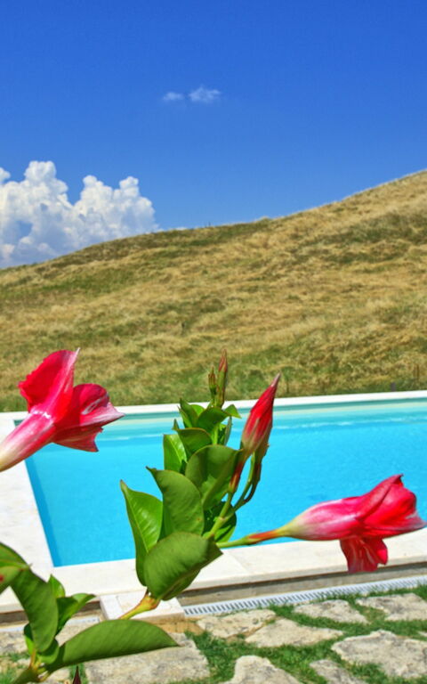 Castelmuzio: Piscina