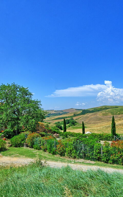 Castelmuzio: all'aperto, Vista Panoramica
