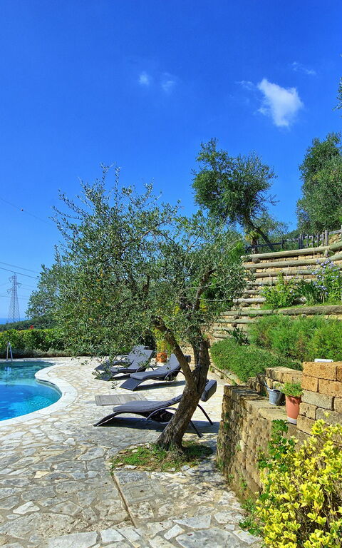 Villa Oliveta: Piscina