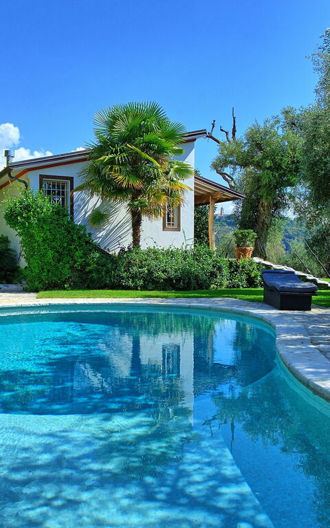 Villa Oliveta: Estate, Piscina