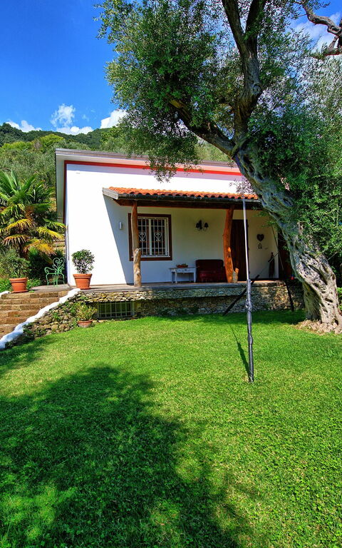 Villa Oliveta: all'aperto, Giardino