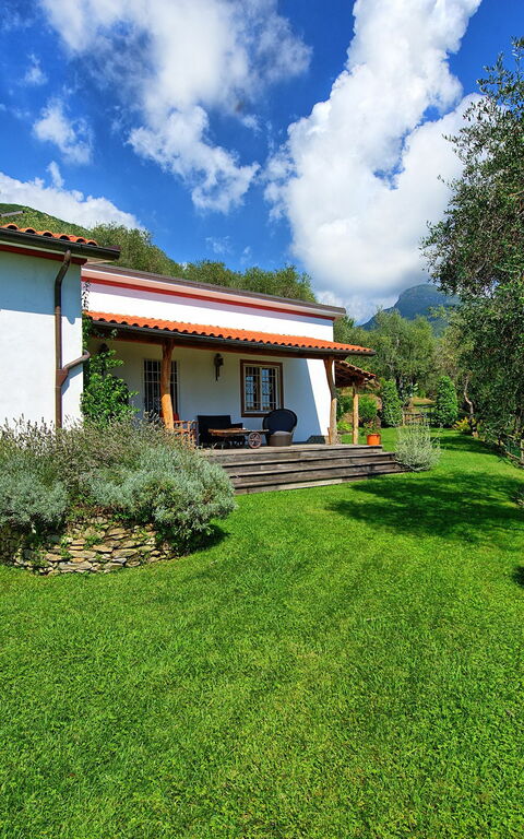 Villa Oliveta: all'aperto, Giardino