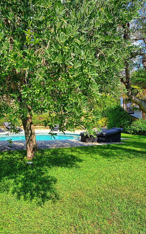 Villa Oliveta: Giardino